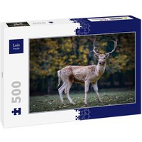 Lais Puzzle Reh 500 Teile Lais Puzzle Reh 500 Teile von Lais Systeme