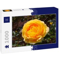 Lais Puzzle Rose 1000 Teile von Lais Systeme