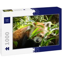 Lais Puzzle Roter Panda 1000 Teile von Lais Systeme