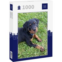 Lais Puzzle Rottweiler 1000 Teile von Lais Systeme