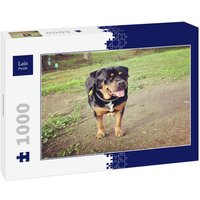 Lais Puzzle Rottweiler 1000 Teile von Lais Systeme