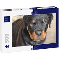 Lais Puzzle Rottweiler 500 Teile Lais Puzzle Rottweiler 500 Teile von Lais Systeme