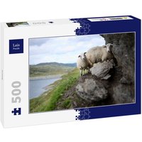 Lais Puzzle Schafe 500 Teile von Lais Systeme