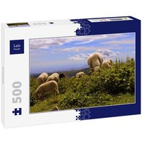 Lais Puzzle Schafherde 500 Teile von Lais Systeme