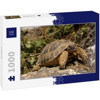 Lais Puzzle Schildkröte 1000 Teile von Lais Systeme