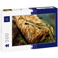 Lais Puzzle Schlange 500 Teile Lais Puzzle Schlange 500 Teile von Lais Systeme