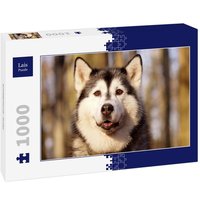 Lais Puzzle Schlittenhund - Husky 1000 Teile von Lais Systeme