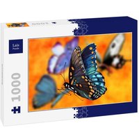 Lais Puzzle Schmetterling 1000 Teile Lais Puzzle Schmetterling 1000 Teile von Lais Systeme