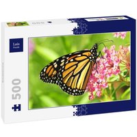 Lais Puzzle Schmetterling 500 Teile Lais Puzzle Schmetterling 500 Teile von Lais Systeme