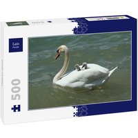 Lais Puzzle Schwan mit Babys 500 Teile Lais Puzzle Schwan mit Babys 500 Teile von Lais Systeme