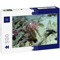 Lais Puzzle Seepferdchen 500 Teile von Lais Systeme