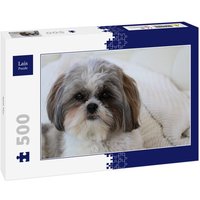 Lais Puzzle Shih Tzu 500 Teile von Lais Systeme