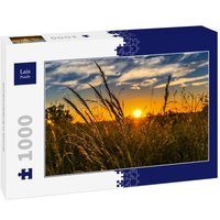 Lais Puzzle Sonnenuntergang im Sommer 1000 Teile Lais Puzzle Sonnenuntergang im Sommer 1000 Teile von Lais Systeme