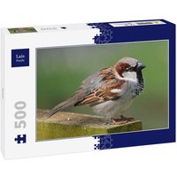 Lais Puzzle Spatz 500 Teile von Lais Systeme