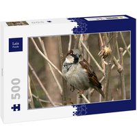 Lais Puzzle Spatz 500 Teile von Lais Systeme