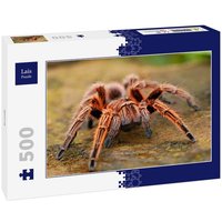 Lais Puzzle Spinne 500 Teile Lais Puzzle Spinne 500 Teile von Lais Systeme