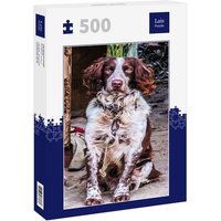 Lais Puzzle Springer Spaniel 500 Teile Lais Puzzle Springer Spaniel 500 Teile von Lais Systeme