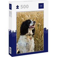 Lais Puzzle Springer Spaniel 500 Teile Lais Puzzle Springer Spaniel 500 Teile von Lais Systeme