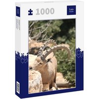 Lais Puzzle Steinbock 1000 Teile von Lais Systeme