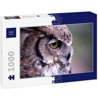 Lais Puzzle Uhu 1000 Teile von Lais Systeme