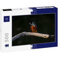 Lais Puzzle Vogel 500 Teile von Lais Systeme