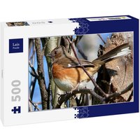 Lais Puzzle Vogel 500 Teile von Lais Systeme
