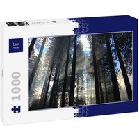 Lais Puzzle Wald 1000 Teile von Lais Systeme
