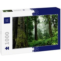 Lais Puzzle Wald 1000 Teile von Lais Systeme
