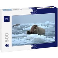 Lais Puzzle Walross 500 Teile Lais Puzzle Walross 500 Teile von Lais Systeme