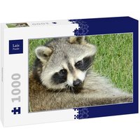 Lais Puzzle Waschbär 1000 Teile von Lais Systeme