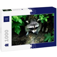 Lais Puzzle Waschbär 1000 Teile Lais Puzzle Waschbär 1000 Teile von Lais Systeme