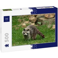 Lais Puzzle Waschbär 500 Teile von Lais Systeme