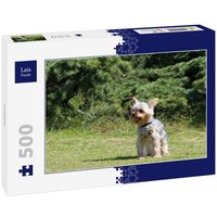 Lais Puzzle Yorkshire 500 Teile Lais Puzzle Yorkshire 500 Teile von Lais Systeme