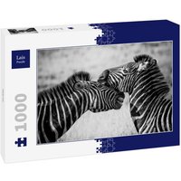 Lais Puzzle Zebras 1000 Teile Lais Puzzle Zebras 1000 Teile von Lais Systeme