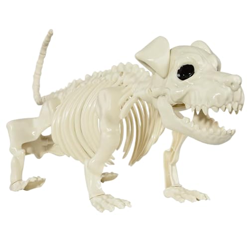 Lamppdcor Halloween Skeleton Dog, Fähigkeiten Realistische Ganzkörper Welpendekor für Friedhof Haunted House Spooky Lamppdcor Halloween Skeleton Dog, Fähigkeiten Realistische Ganzkörper Welpendekor für Friedhof Haunted House Spooky von Lamppdcor
