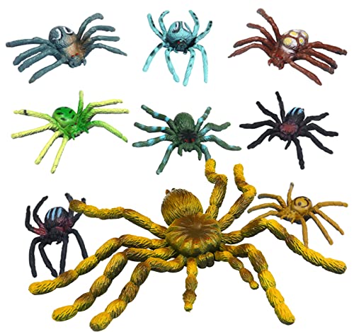 9 realistische Spinnenfiguren, kleine und große Vogelspinne, Spinnenmodell, Halloween-Spinnendekoration, Witz, Kunststoff, gefälschte Spinne, beängstigend für Halloween-Party, Kinder, Lernspiel 9 realistische Spinnenfiguren, kleine und große Vogelspinne, Spinnenmodell, Halloween-Spinnendekoration, Witz, Kunststoff, gefälschte Spinne, beängstigend für Halloween-Party, Kinder, Lernspiel von Lanfly