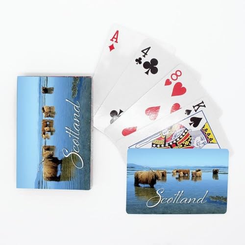 LangSyne Publishers Ltd Highland Coos Spielkarten 98553 von LangSyne