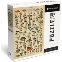 Mushrooms - C - Vintage Bookplate - Adolphe Millot Artwork - 1000 Piece Puzzle von Lantern Press, Incorporated, Publishers