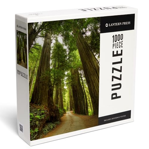Lantern Press 1000 Teile Puzzle Redwood Forest Road Photography A-91535 von Lantern Press