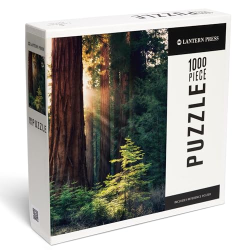 Lantern Press Puzzle mit 1000 Teilen, Redwood National Park, Kalifornien, Sonnenbeleuchtete Bäume Lantern Press Puzzle mit 1000 Teilen, Redwood National Park, Kalifornien, Sonnenbeleuchtete Bäume von Lantern Press