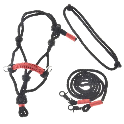 LarDen Hobby Horse Zubehör SeilSet - Halfter mit Zügel & Halsring für Größe S Steckenpferd - Spark - Schwarz + Rot, Stockpferd Set, Hobby Horsing Pferd, Spielzeug Kinder, Spielpferd, Hobbyhorse LarDen Hobby Horse Zubehör SeilSet - Halfter mit Zügel & Halsring für Größe S Steckenpferd - Spark - Schwarz + Rot, Stockpferd Set, Hobby Horsing Pferd, Spielzeug Kinder, Spielpferd, Hobbyhorse von LarDen