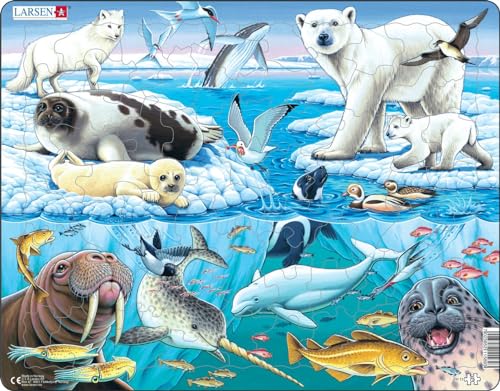 Larsen FH11 Wildtiere auf und um einen arktischen Eisberg Jigsaw Puzzle für Kinder im Alter von 4-12 Jahren - 75 Teile | Bildungs-und Spaß | Rahmenpuzzles | Hergestellt in Norwegen von Larsen