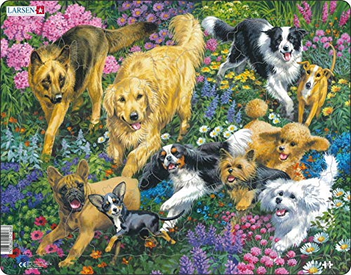 Larsen FH33 Hunde in einem Blumenfeld, Rahmenpuzzle mit 32 Teilen von Larsen