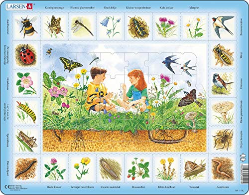 Larsen NA1 Auf der Wiese, Niederländisch Ausgabe, Rahmenpuzzle mit 48 Teilen Larsen NA1 Auf der Wiese, Niederländisch Ausgabe, Rahmenpuzzle mit 48 Teilen von Larsen