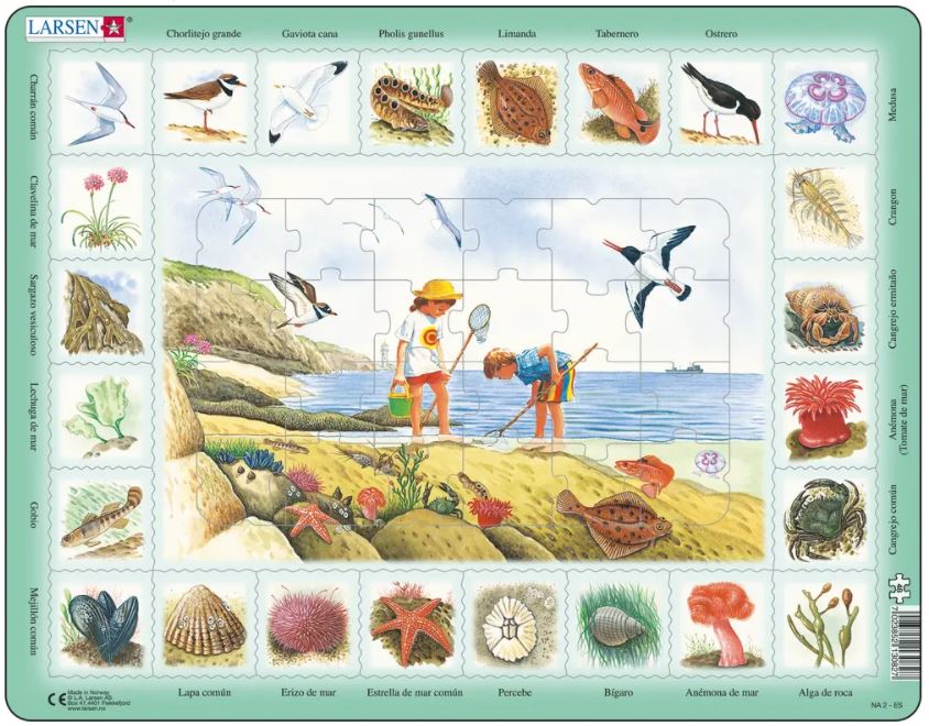 Larsen Rahmenpuzzle - Nature Puzzle - Seaside (Spanish) 48 Teile Puzzle Larsen-NA2-ES von Larsen