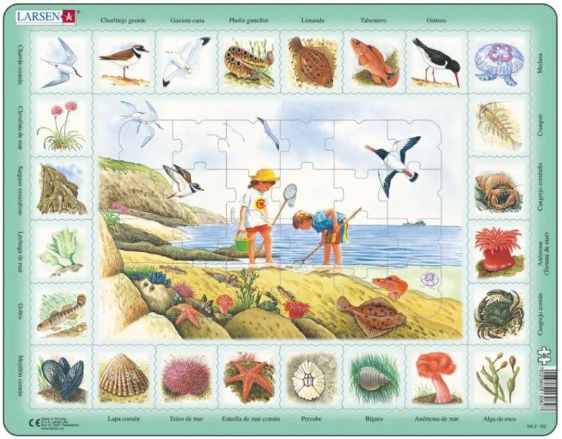 Larsen Rahmenpuzzle - Nature Puzzle - Seaside (Spanish) 48 Teile Puzzle Larsen-NA2-ES von Larsen