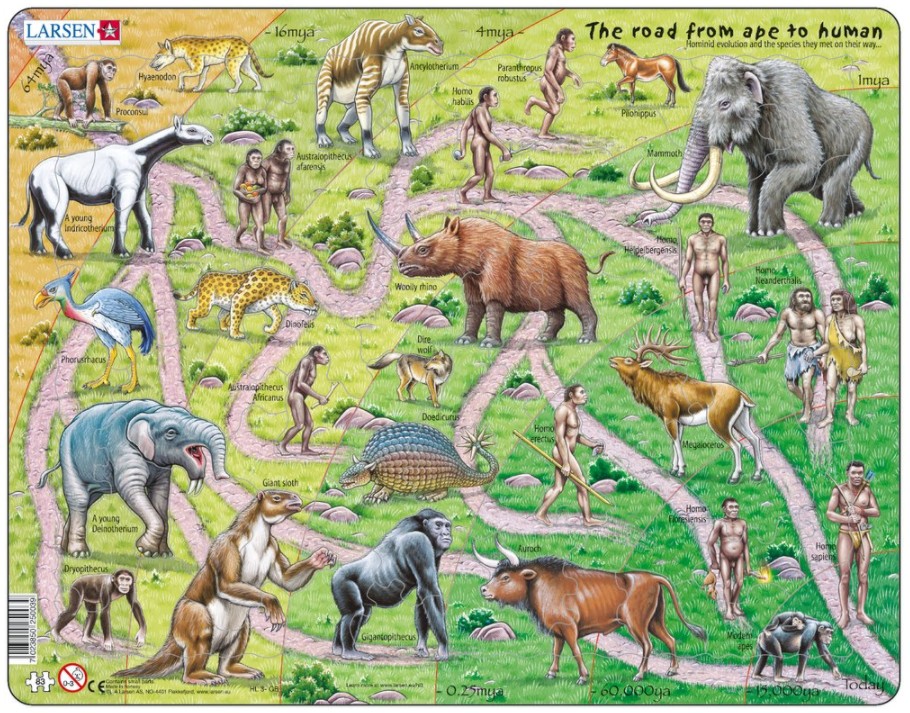 Larsen Rahmenpuzzle - The Road From Ape to Human (auf Englisch) 83 Teile Puzzle Larsen-HL3-GB von Larsen