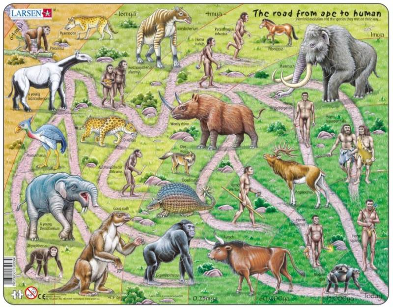 Larsen Rahmenpuzzle - The Road From Ape to Human (auf Englisch) 83 Teile Puzzle Larsen-HL3-GB von Larsen