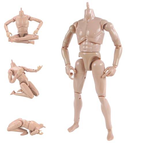 1/6 Maßstab Aktionsabbildung, 10, 2 -Zoll -Puppenzubehör, Flexible Zeichnungsfigur Modell ohne Kopf 1/6 Skalenzubehör 1/6 Maßstab Aktionsabbildung, 10, 2 -Zoll -Puppenzubehör, Flexible Zeichnungsfigur Modell ohne Kopf 1/6 Skalenzubehör von Latebebebe