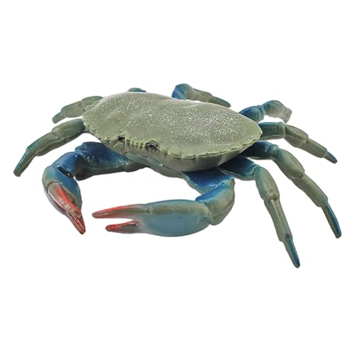 Latebebebe Krabbenspielzeug, realistisches Plastikkrabbendekor, 3, 7 x 3, 2 Zoll Bildungslernspielzeug für Kinder +, Desktop DecorationCrab Latebebebe Krabbenspielzeug, realistisches Plastikkrabbendekor, 3, 7 x 3, 2 Zoll Bildungslernspielzeug für Kinder +, Desktop DecorationCrab von Latebebebe